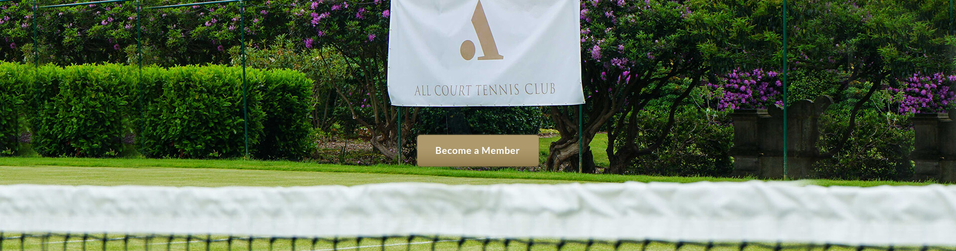 All Court Tennis Club